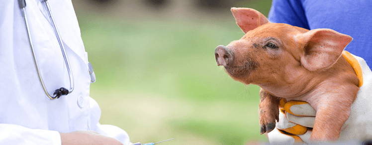 �������ˡ�(�й���) - �ٷ���վ